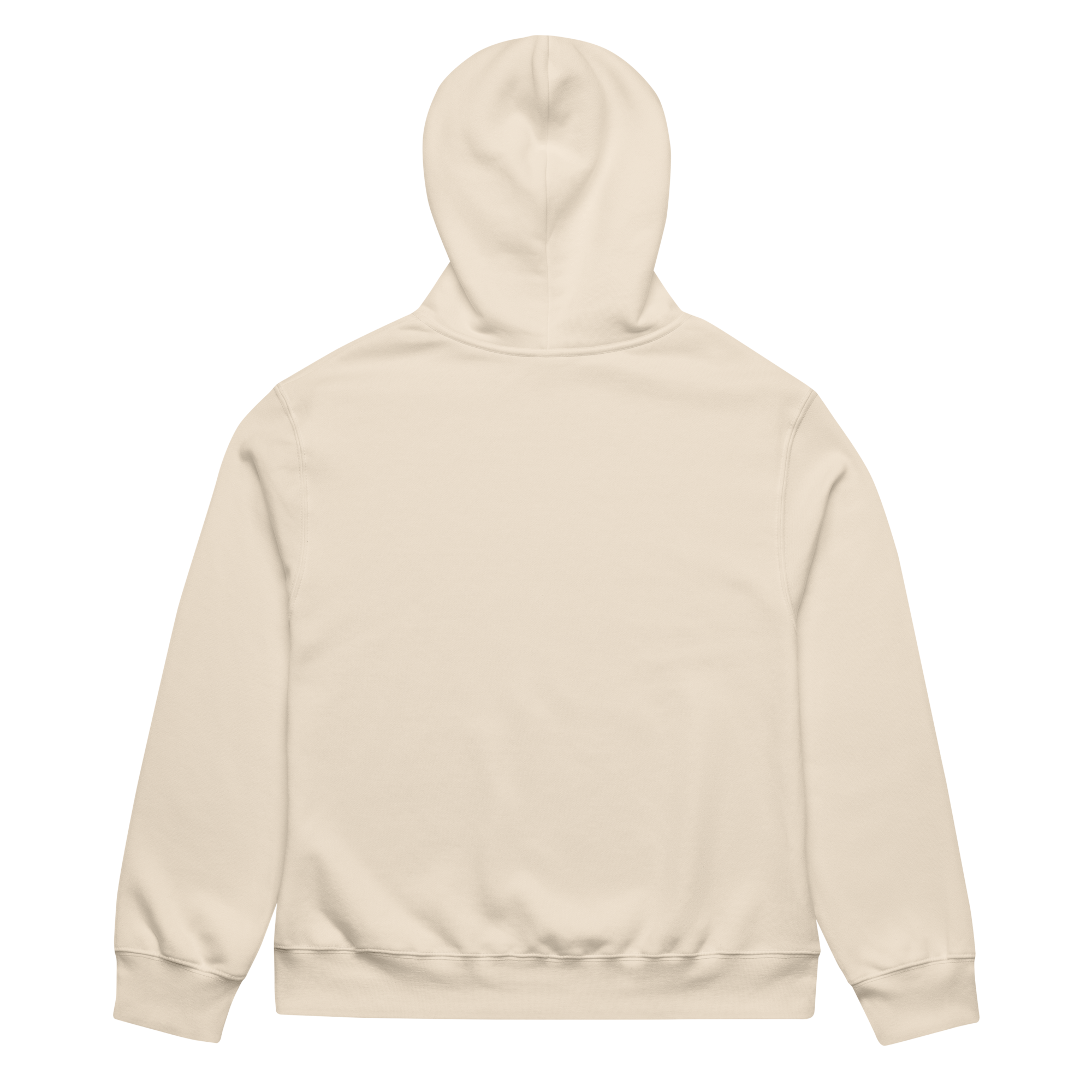 https://cdn.shopify.com/s/files/1/0046/4401/2066/files/unisex-oversized-heavyweight-hoodie-dust-back-69049a1eef320.png?v=1761909296